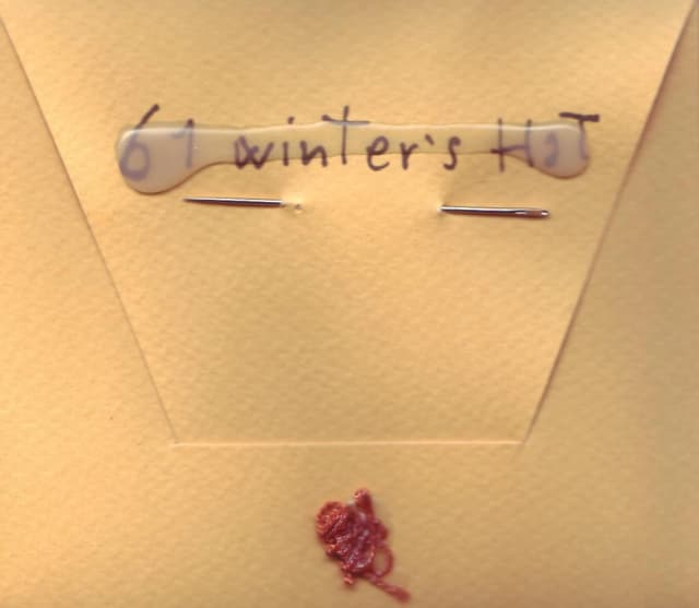 61 Winter’s Hat